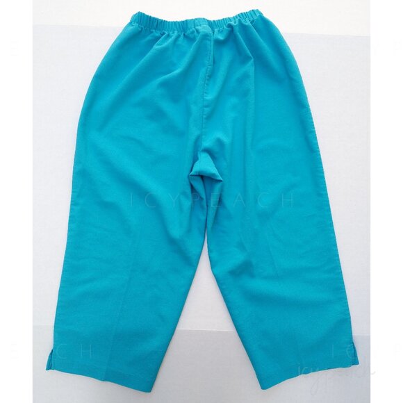 Units Capri Pants Sz Small Vintage 90s High Waist Pull On Coastal Grandma Resort - Picture 2 of 10